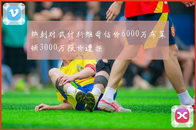 热刺对武什科维奇估价6000万布莱顿3000万报价遭拒